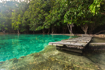 Emerald Pool in Krabi Thailand