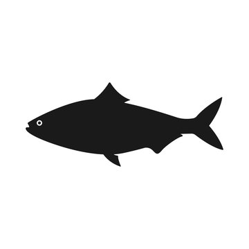 Simple fish silhouette logo. on white background
