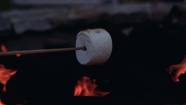 Summer Fun Roasting Marshmellows Camping