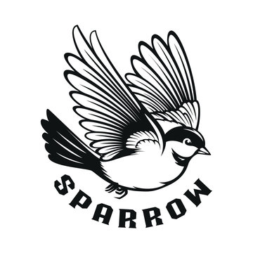 sparrow illustration. logo template, monochrome