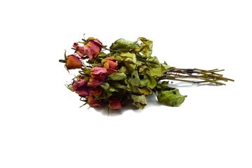 Top view of dried red rose and leaf on white background