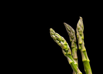 Fresh green asparagus on black background