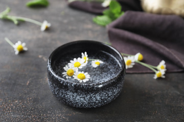 Bowl with beautiful camomile flowers and water on grey table