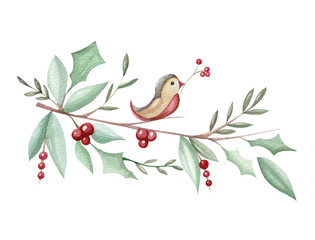 watercolor illustration with Christmas branch holly and bird