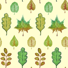 Colorful autumn leaves variety (different shapes), hand painted watercolor illustration in soft green palette, seamless pattern on yellow background