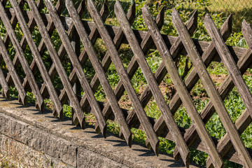 Fence around the green garden