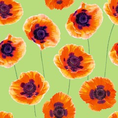 Seamless pattern with red poppies on green background. Trendy fashion design. watercolor.