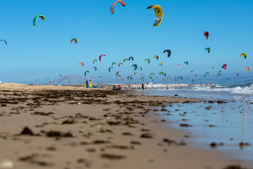 Kitesurfers in Tarifa.