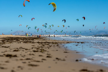 Kitesurfers in Tarifa.