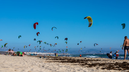 Kitesurfers in Tarifa.