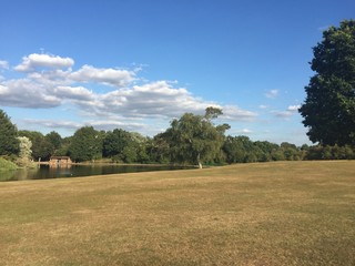Fototapeta premium Park in the summer