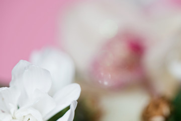 Abstract blurred nature background