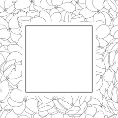 Arabian Jasmine Outline Banner Card