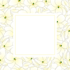 Arabian Jasmine Banner Card.