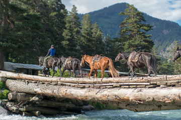 Naklejka premium the crossing of the horses over a raging torrent