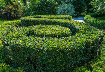 Garden with topiary