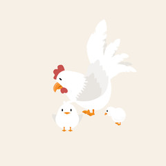 white Hen with chick animal vector
