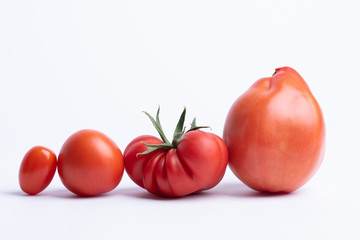 Tomates bio sur fond blanc