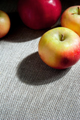 Apples on a canvas