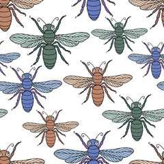 Vector pattern from cartoon flies