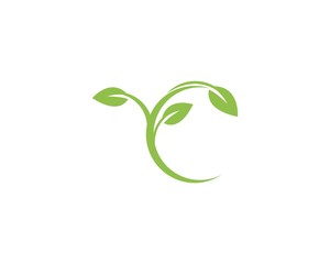 green leaf ecology nature element