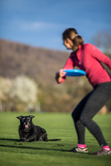 Young woman throwing freisbee to her black dog outdoors (shallow DOF, sharp focus