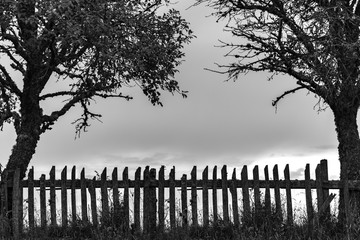 Obraz premium Black and white silhouette of an old wooden rural fence standing between two trees