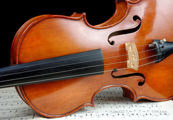 Violin on sheet music. close up.