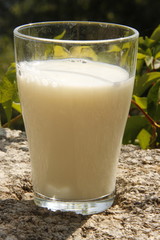 Verre de lait