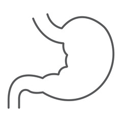 Stomach thin line icon, anatomy and biology, human organ sign, vector graphics, a linear pattern on a white background, eps 10.