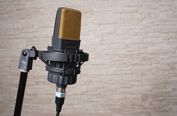  professional microphone of last generation
