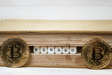Word reward written in wooden blocks in book and bitcoin