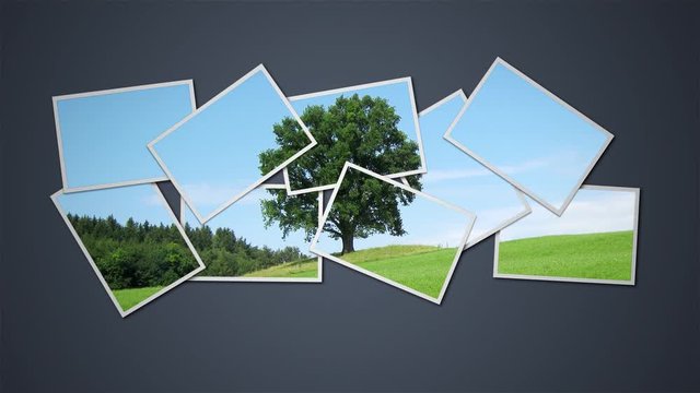 Collage with tree on meadow on blue sky background