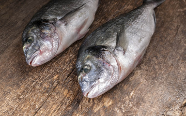 Dorado on a rustic wooden table. Close-Up