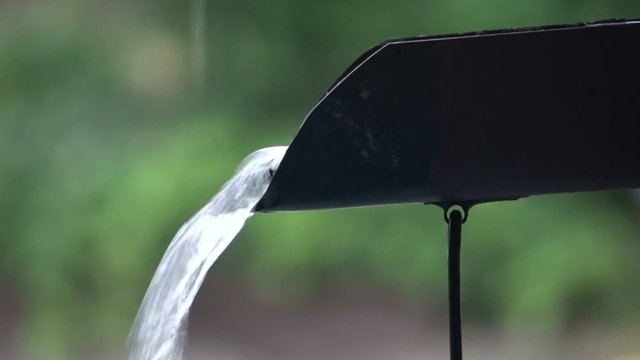 Regenwassersammler, Regenwasser, Regensammler