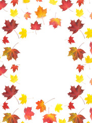 Frame of autumn yellow, orange and red maple leaves isolated on white background, top view, flat layout. Creative pattern, autumn background.