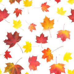 Autumn yellow, orange and red maple leaves isolated on white background, top view, flat layout. Creative seamless pattern. Autumn background.