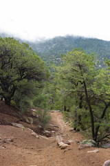 Fototapeta premium Piedre Lisa Hiking Trail Albuquerque, New Mexico, United States, Rainy