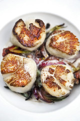 Sea food dish