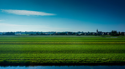 Fototapeta na wymiar Netherlands, South Holland, a river with a lush green field