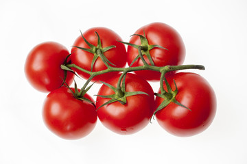 Tomatoes on the vine isolated on white background