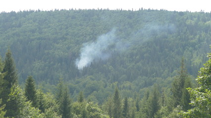 Pożar w lesie © Marian