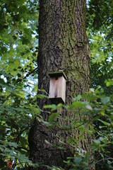 domek dla ptaków w parku © Arkadiusz
