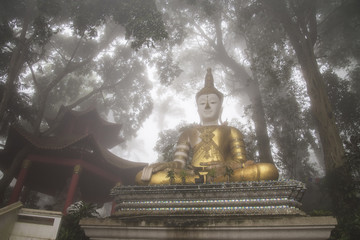 Buddha on the fog