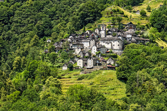 Corippo
