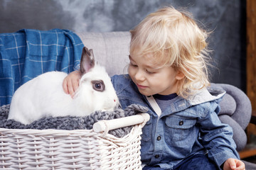 Lovely little boy plays with a white rabbit. The boy looks at a rabbit