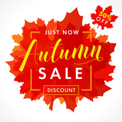 Bright banner for autumn sale with text 50% off just now in frame from red maple leaves. Fall sale background, special offer for promotion poster or flyer design. Vector illustration