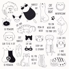 Foto op Plexiglas Set van leuke grappige zwart-wit doodles van verschillende katten en citaten. Geïsoleerde objecten. Hand getekend vectorillustratie. Lijntekening. Ontwerpconcept voor poster, t-shirt, fashion print. © Maria Skrigan