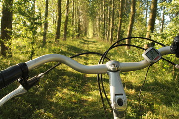Fototapeta na wymiar cycling in nature - a bicylce steer closeup at a green path in the forest 