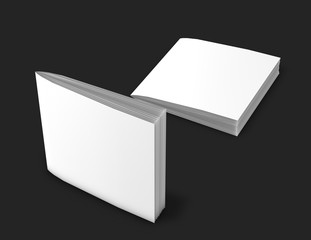 Square shaped booklets with blank front and back cover mock-up template.